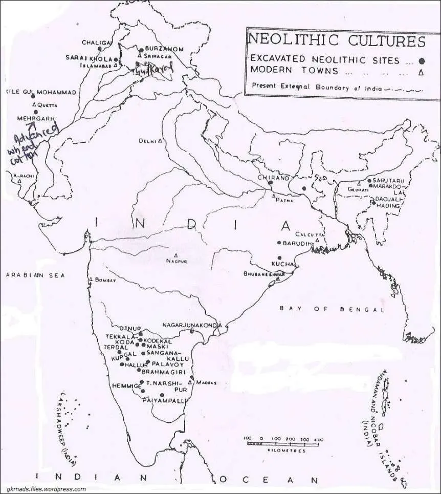 Neolithic Culture